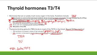 Thyroid Gland and Thyroid Hormone | Endocrine System | Step 1 Simplified