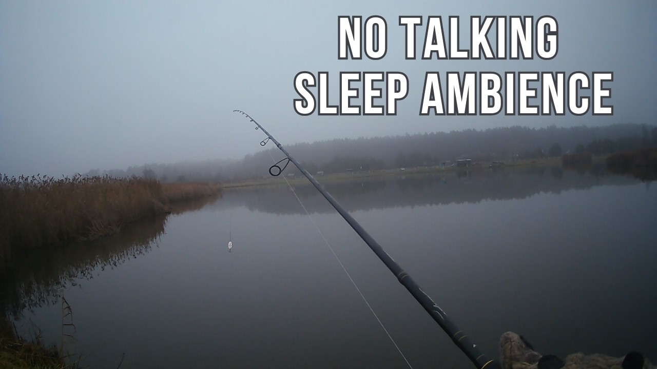 Deep Sleep Ambience — Silent Fishing Lake (No Talking)