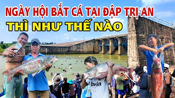ĐẬP THỦY ĐIỆN TRỊ AN TRONG NGÀY HỘI BẮT CÁ THÌ NHƯ THẾ NÀO ? TOÀN CÁ KHỦNG .