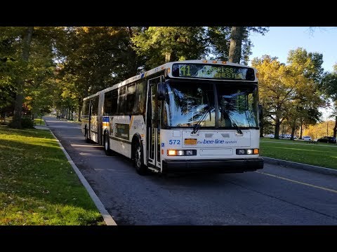 bee-line-bus:-route-1c,-1x,-14,-15,-40,-41-43-buses-@-south-plaza-hospital-drive