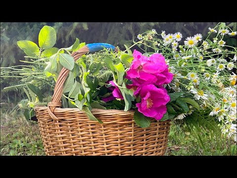 ASMR спокойной ночи,малыши 💋
