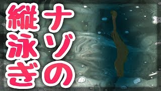 この生物の名前を知っていますか？【ハイサイメンバー釣り対決 中編】