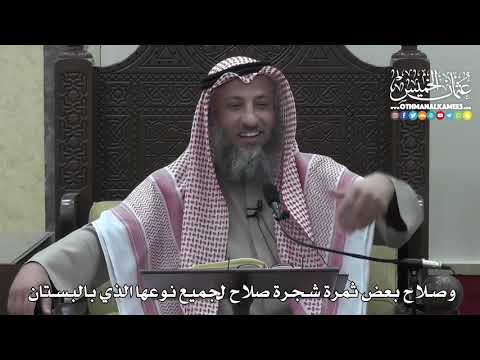 1408 - وصلاح بعض ثمرة شجرة صلاح لجميع نوعها الذي بالبستان - عثمان الخميس