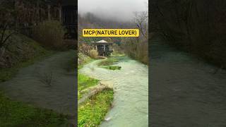 Mcpnature Lovers