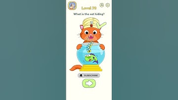 DOP2 Level 70 💢 What is the cat hiding?