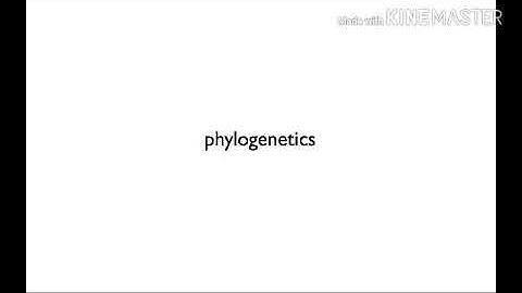 Introduction to Phylogenetics