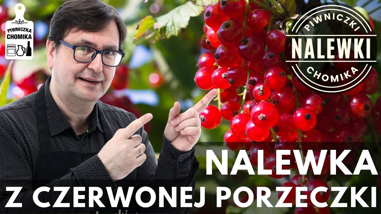 Nalewka z czerwonej porzeczki (porzeczkówka). Doskonały, orzeźwiający trunek. Musisz go spróbować!