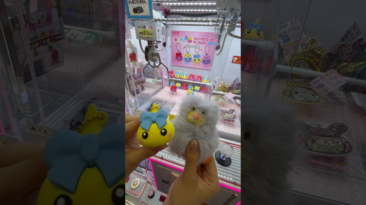 この2つ、いくらで取れるか検証したら… #クレーンゲーム #ufoキャッチャー #ぬいぐるみ #ゲームセンター