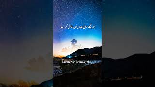 Surah Ash Shuraa | Quran Pak | Quran Majeed | Rasool Karim (saw) #shorts