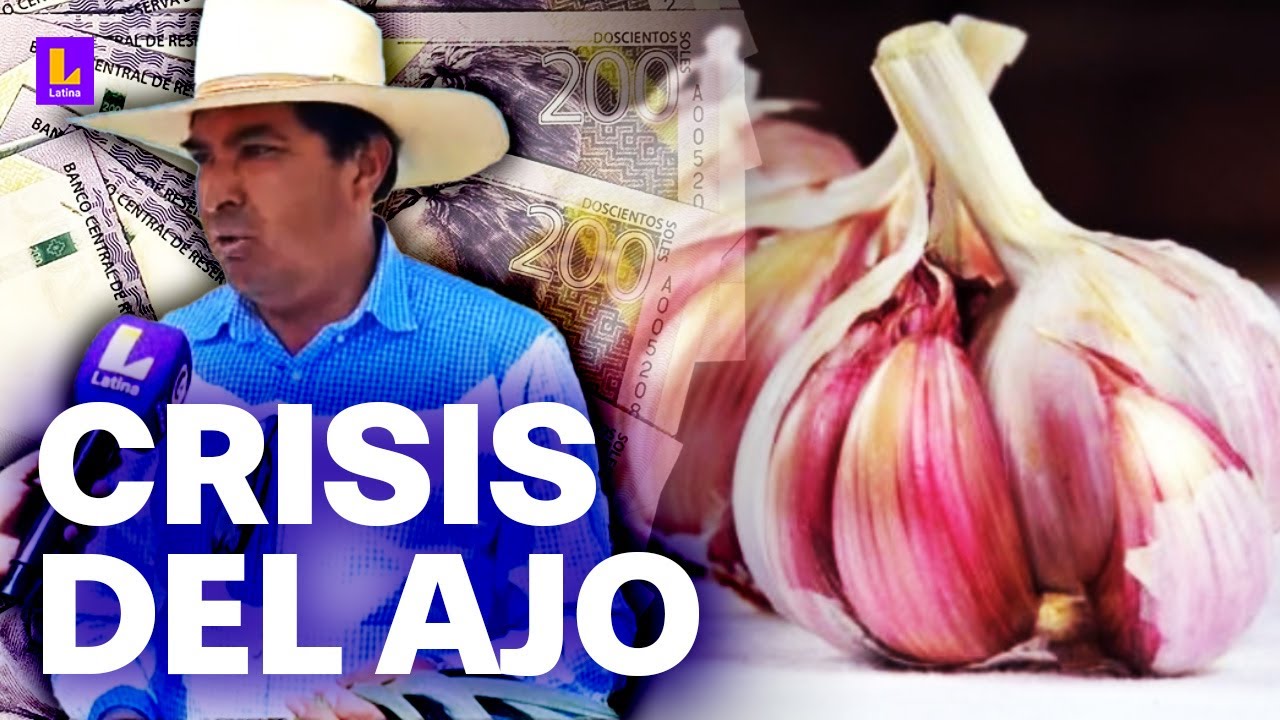 ¿El ajo seguirá subiendo de precio? Esta es la situación en los campos de cultivo en Arequipa