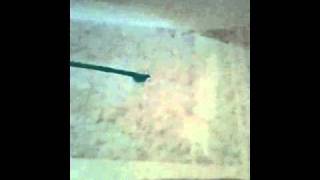Famous Sakura solid marker review Wealth
