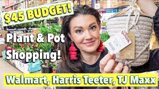 $45 Budget Plant Shopping | Walmart, Harris Teeter, TJMaxx | Pot & Houseplant Haul | Charlotte, NC