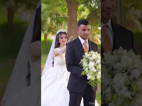 جايبه كل الدلع ده منين 