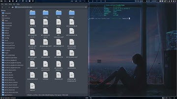 ArcoLinux : 2789 Ariser - Update and rebuild the Ariser iso