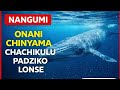 NANGUMI ONANI CHICHAMA CHACHIKULU PADZIKO LONSE LAPANSI 