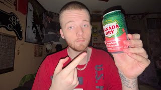 Canada Dry strawberry Fruit Splash Review screenshot 3