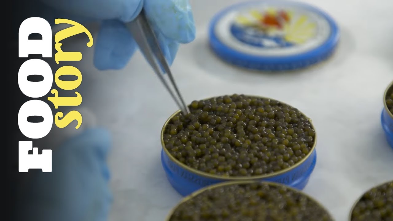 Petrossian, le tsar du caviar
