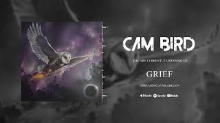 IV: Grief Visualiser Video - Portals - Cam Bird