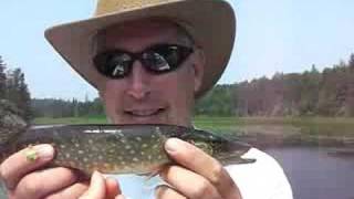 Hammer Handle Er...screw Driver Handle