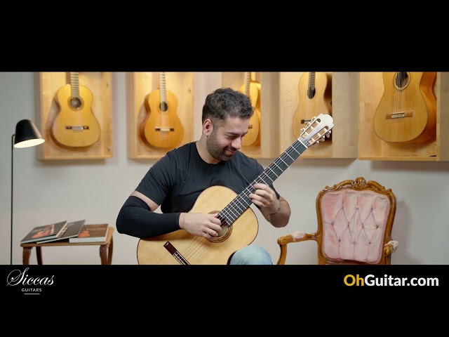 Michael Gee 1991 Limited Edition No. 275 (No. 4 from 6) Classical Guitar review