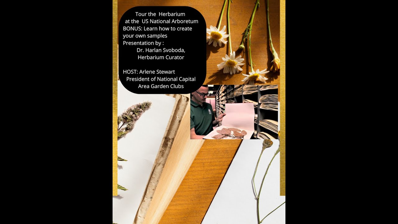 U.S. National Arboretum-Herbarium