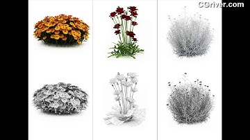 CGAixs Vol. 19 - Photo-Realistic 3D Garden Plants - CGriver.com