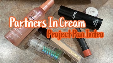 #PartnersInCream Project Pan 2023 Intro