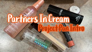 #PartnersInCream Project Pan 2023 Intro