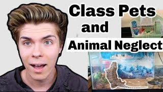 Reacting to CLASS PETS!!! This is worse than I thought.