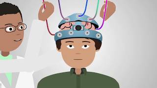 Scientists discover essential neuropeptide for memory implantation