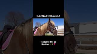 My Dream Came True As An Equestrian Designer!