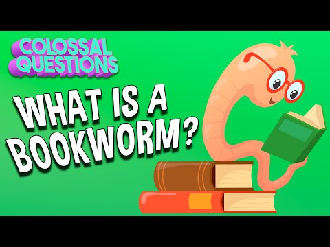 What Is A Bookworm? | COLOSSAL QUESTIONS