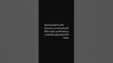 الشيخ احمد حمادي سورة الإسراء