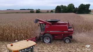 Harvesting Blue Corn