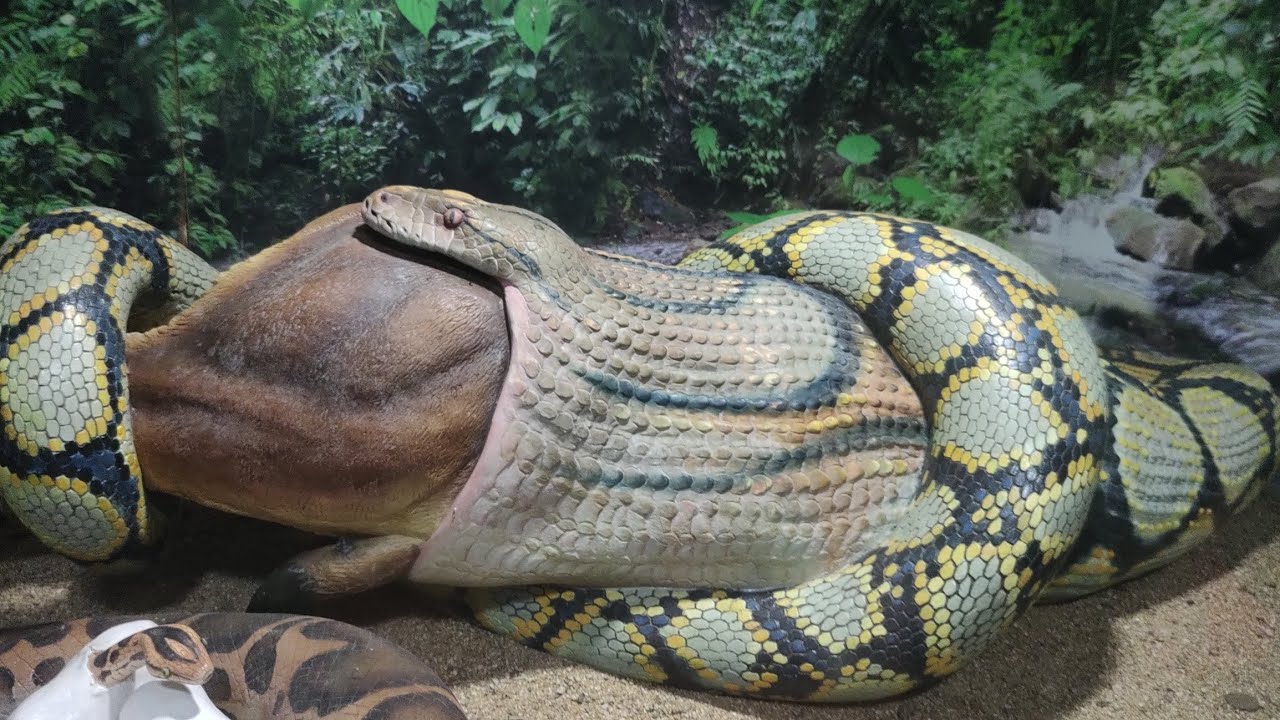 Karkotak snake | Mahabharata | Daily 10 second facts in Hindi