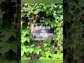 Exploring Hidden Gems of Paris in 60 Seconds - Party 1