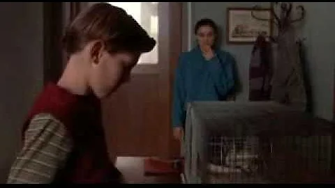 Freddy's Memories