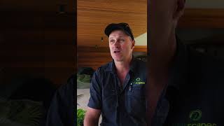 Passion and Quality Work Together Well in Australian Capital   Anthony Dalle