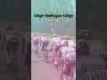 Quem vence a Liège-Bastogne-Liège?