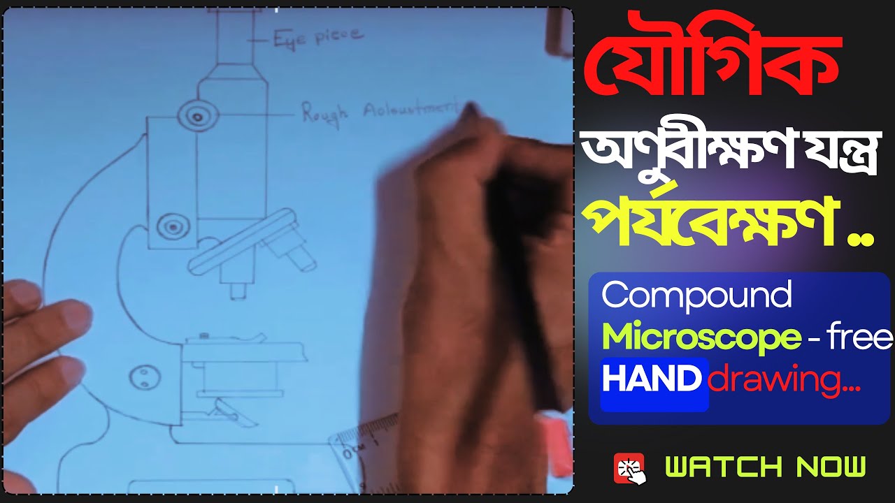 How to draw a microscope step by step || HSC practical drawing - 2025 ...