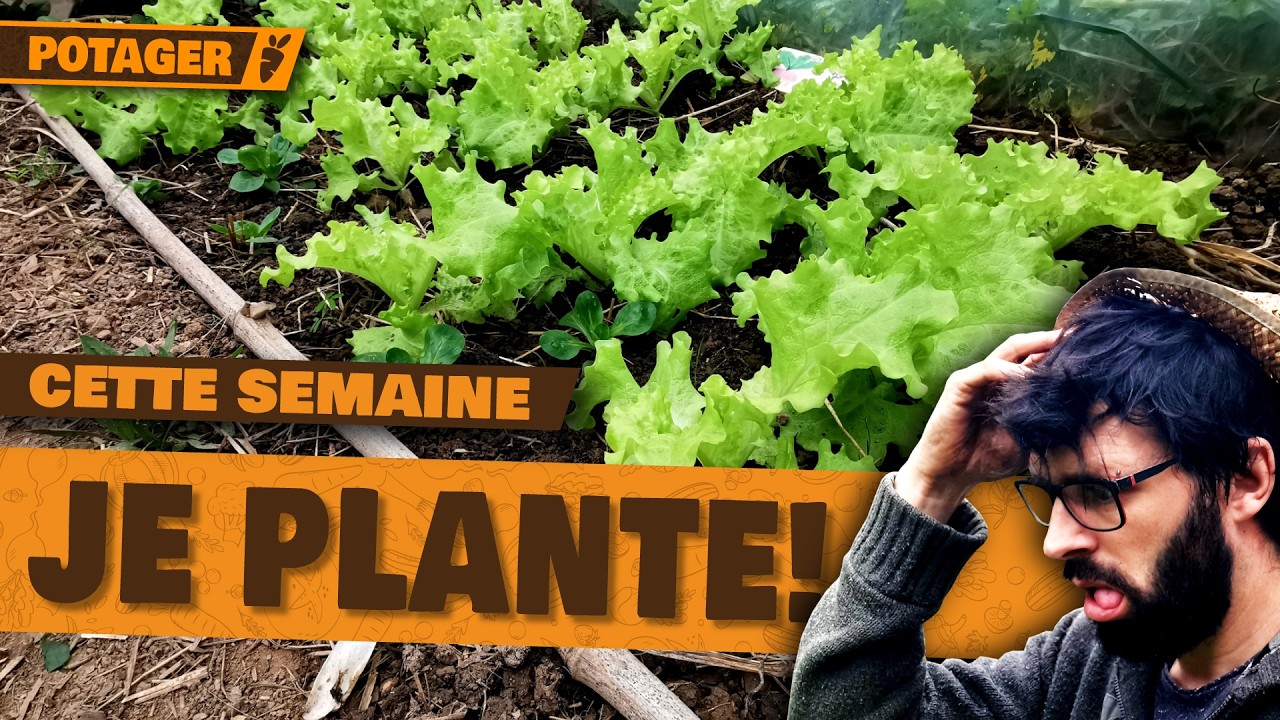 🌱POTAGER EN FÉVRIER : Que faire CETTE semaine ? 🌱 (Semis, Plantations, Entretien)