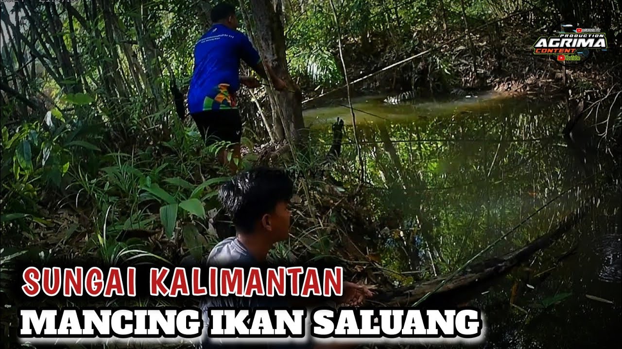 Серия ударов😱