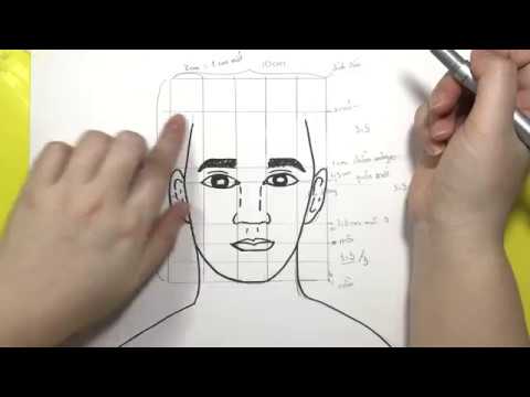 Vẽ Tranh Chân Dung- Cách Chia Tỷ Lệ Mặt Người Đơn Giản - Youtube