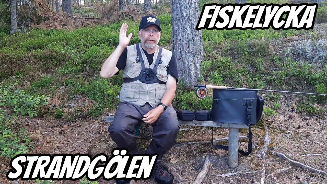 Äntligen Flugfiske i STRANDGÖLEN 2023 | Fiskelycka