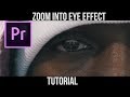 Zoom Into Eye Effect | Premiere Pro Tutorial |