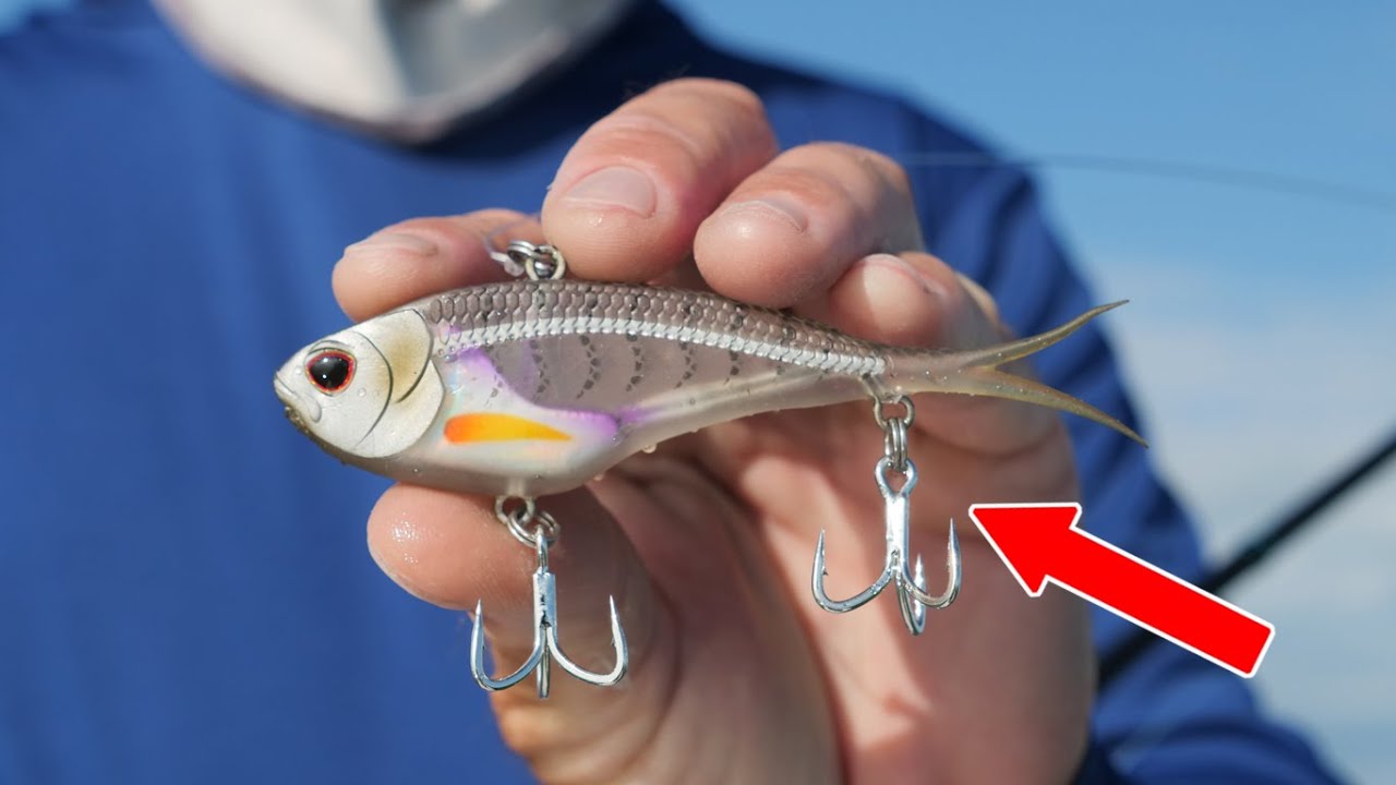 Soft Vibration Bait catches everything?! Winter Inshore Florida fishing | Nomad Vertrex Vibes Soft Vibration Bait catches everything?! Winter Inshore Florida fishing | Nomad Vertrex Vibes