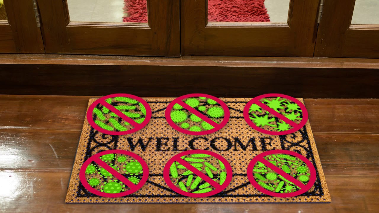 Jaime Gunter | Clean Bases