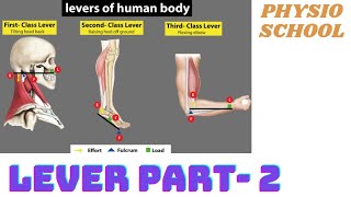 LEVER PART - 2 | BIOMECHANICS | MUSCLES IN DIFFERENT LEVER SYSTEM | HINDI