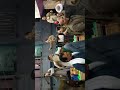 ١٣ أكتوبر ٢٠٢١