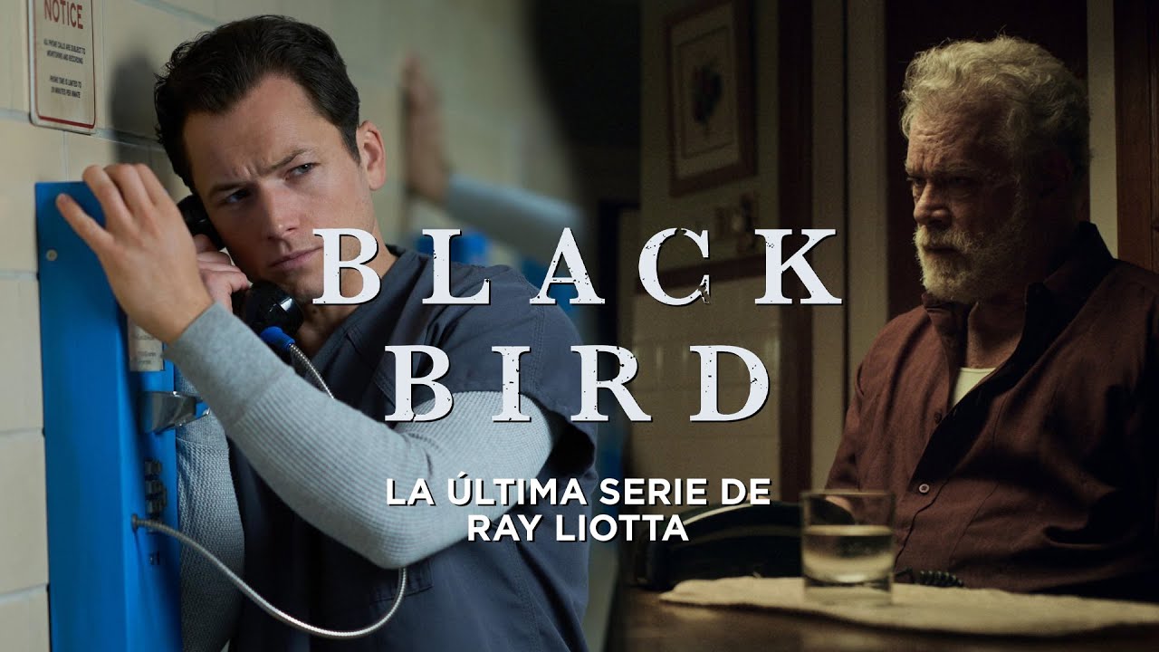 BLACK BIRD: LA ÚLTIMA SERIE DE RAY LIOTTA (MAQE 413)